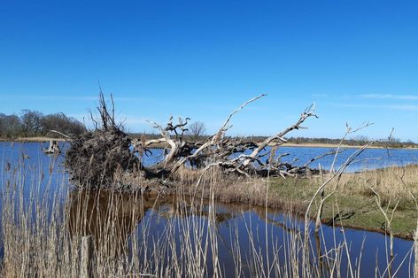 Naturerlebnis Geltinger Birk