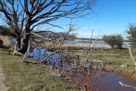 Naturerlebnis Geltinger Birk