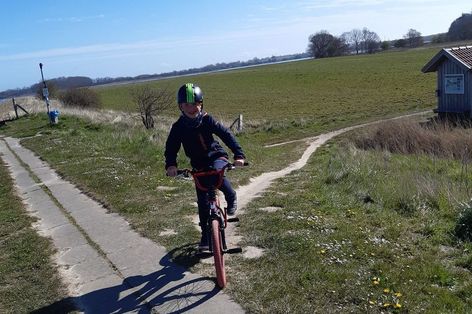 Fahrradausflug an den Strand am sonnigen Tag