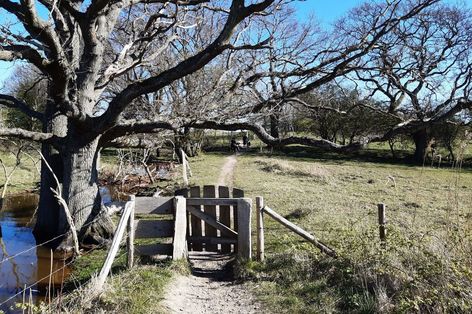 Wanderschaft an Schlei und Ostsee