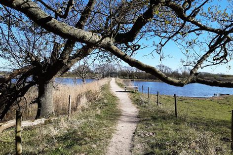 Zu Fuß inmitten der wunderschönen Natur